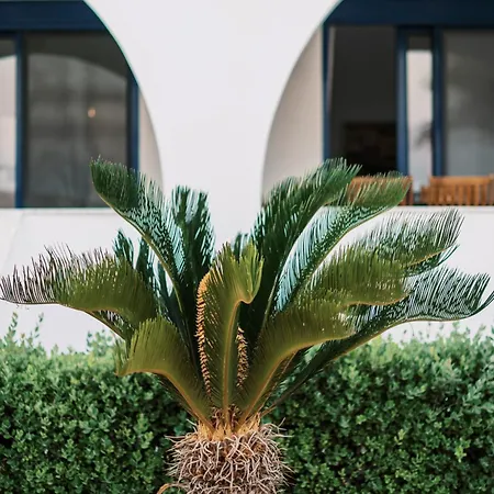 Deep Blue Villa Lachania (Rhodes)